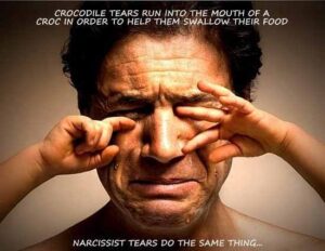 Do Narcissists Cry?
