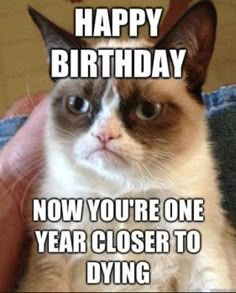 Funny Birthday Memes 