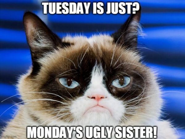 50 Tuesday Memes To Get Your Week Started - Gistingnow