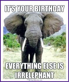 Funny Birthday Memes 